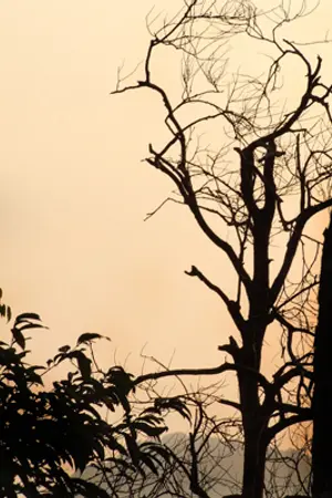 ปกนิยาย ใต้สุดลิ้นชัก