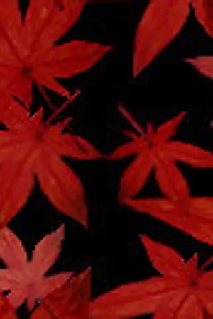 ปกนิยาย 62 ฝน ของคนปิ้งไข่