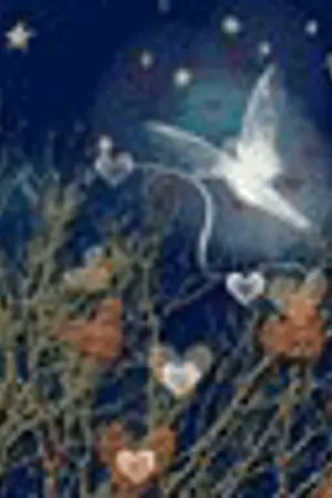 ปกนิยาย ไม่มีขอบเขต(ของคำว่ารัก)