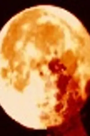 ปกนิยาย ~The Vampires~ SpeciaL LifE StudiO Wish Of Bread Kratong