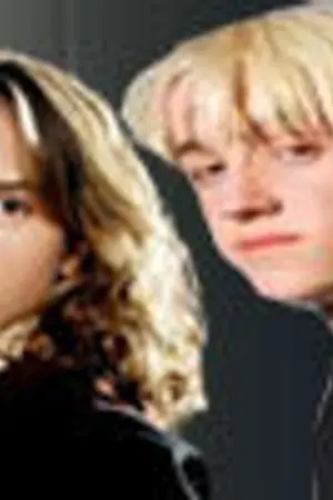 ปกนิยาย Fiction [Draco/Hermione] ของขวัญไร้ชื่อกับเจ้าของปริศนา