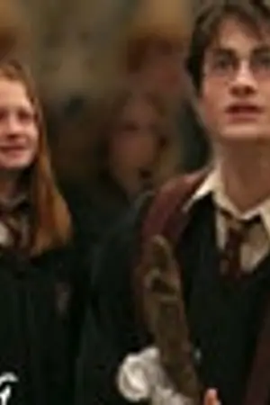 ปกนิยาย [ Harry / Ginny ] Harry Potter And The Book Of Thoughts