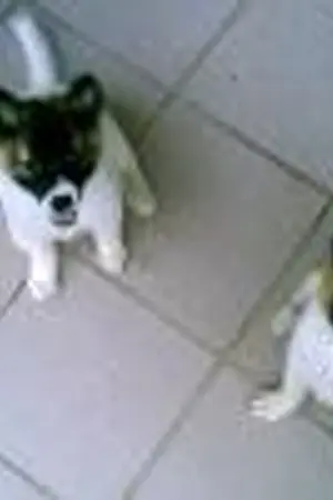 ปกนิยาย Chien-Tang Online   ภาคก้าวแรกสู่บัลลังก์