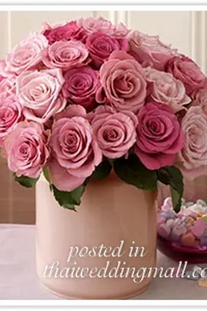 ปกนิยาย ..,,+**+,,..คาถาทำให้สมหวังตามแบบญี่ปุ่น..,,+**+,,..