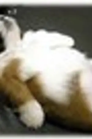 ปกนิยาย เขยิบหัวใจใกล้คนข้างบ้าน (งดอัพชั่วคราวก่อนนะคะ)