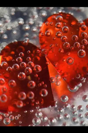 ปกนิยาย ความรักในแบบของหญิงแกร่ง