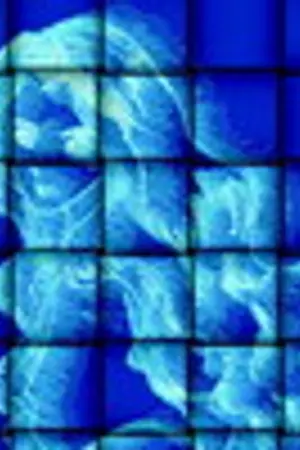 ปกนิยาย กุหลาบสีเงิน