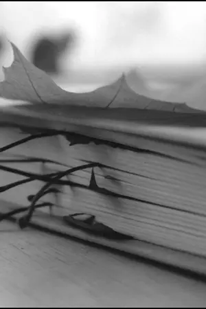 ปกนิยาย Endless  Story   [Yaoi fiction]