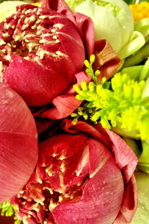 ปกนิยาย สงครามครั้งสำคัญของกรุงศรีอยุธยา ๒