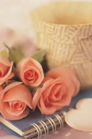 ปกนิยาย นิยาย Yaoi : ปรุงรักปรุงรส