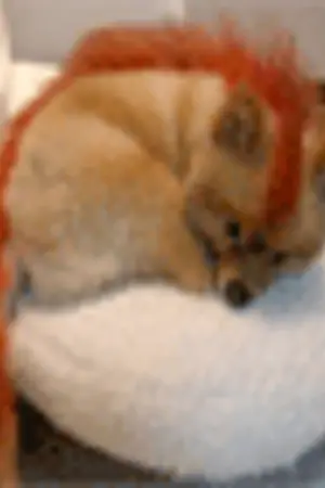 ปกนิยาย Answer คำตอบของหัวใจ (Yaoi)