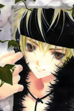 ปกนิยาย ข้อมูลสำหรับแต่งนิยาย