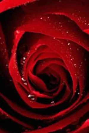 ปกนิยาย IOO  stOry oF LovE