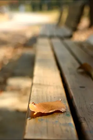 ปกนิยาย [กลอน] จากใจฉัน...ถึงเธอ [อกหัก,แอบรัก]