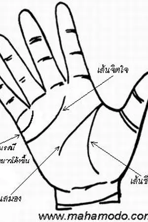 ปกนิยาย เส้นแต่งงาน