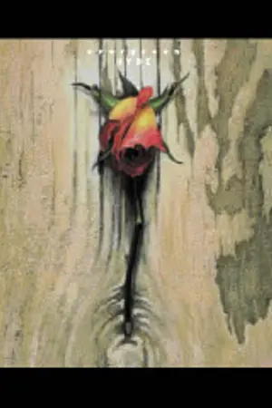 ปกนิยาย นักเดินทางสายราตรี:The Wanderer of night