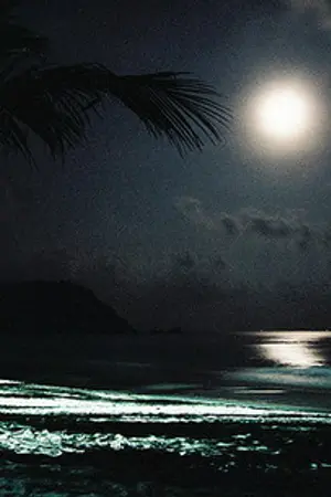 ปกนิยาย วิญญาณ ...ความผูกพัน