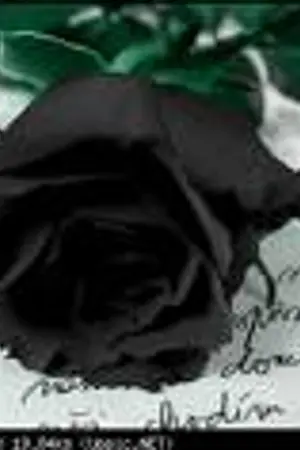 ปกนิยาย Im sorry... I love you