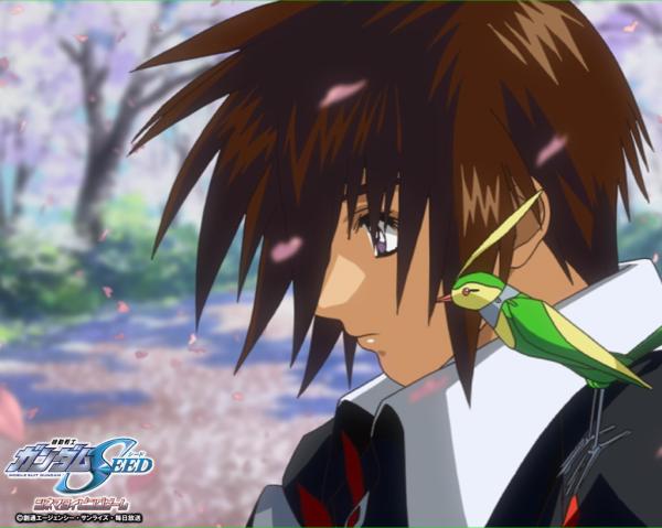 นิยาย (Fic)Code Geass R3:The Return of C.C : Dek-D.com - Writer