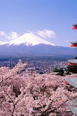 ปกนิยาย เรื่องน่ารู้เกี่ยวกับ ประเทศญี่ปุ่น ""