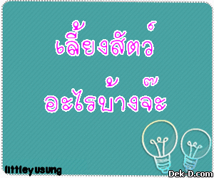 เลี้ยงสัตว์
อะไรบ้างจ๊ะ > สร้าง Glitter ของคุณเองที่ Glitter.Dek-D.COM