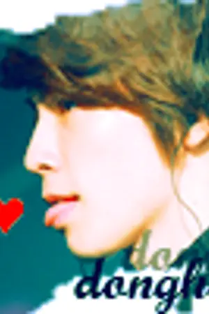 ปกนิยาย Perfect girl & Badboy (sj & snsd)