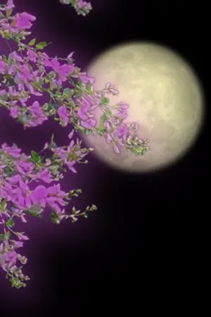 ปกนิยาย ปิดรับสมัครตัวละครเรื่อง "ฮาคาเทีย...อัญมณี...ฤทธี...มนตรา"