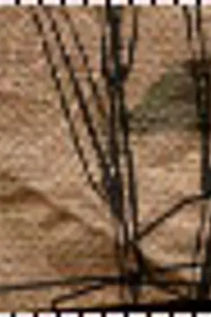 ปกนิยาย ►.::KaRn  F✿ReVeR  LoVe::.◄