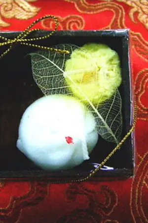 ปกนิยาย หนุ่มซาลาเปา&สาวขนมจีบ