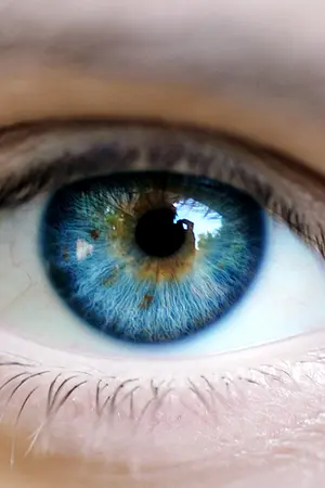 ปกนิยาย THE  EYE  ดวงตามายา