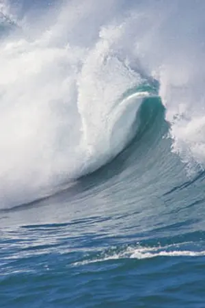 ปกนิยาย การเกิดปรากฏการณ์ธรรมชาติ/ภัยธรรมชาติ