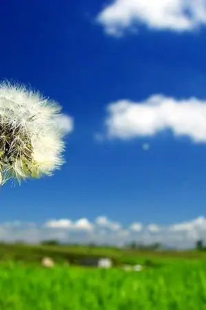 ปกนิยาย กลเกมรัก