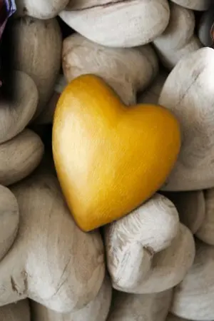 ปกนิยาย [YoU BELong WiTh ME] รักผิดพลาด หัวใจเธอเป็นของฉัน