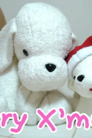 ปกนิยาย The Cool  Doll  รักหมดใจเจ้าชายในร่างตุ๊กตา