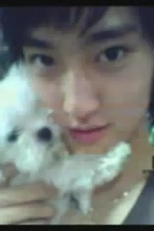 ปกนิยาย MY BOYS มาเฟียใจร้ายกับยัยหน้าใส(Fic SJ)