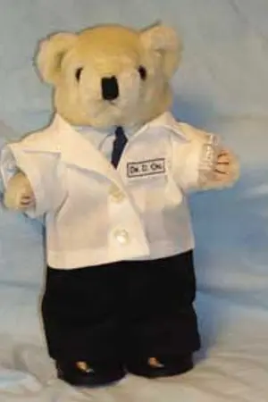 ปกนิยาย อาชีพที่มีรายได้สูงสุด ด๊อกเตอร์หมีรายงาน