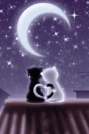 ปกนิยาย The Secret Key ปลดล๊อคกุญแจหัวใจคุณชาย