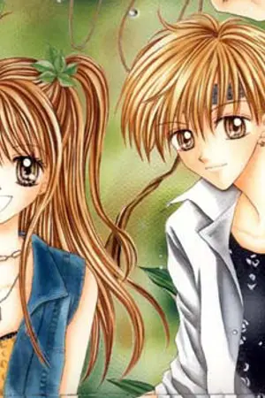 ปกนิยาย ปากกับหัวใจไม่ตรงกัน