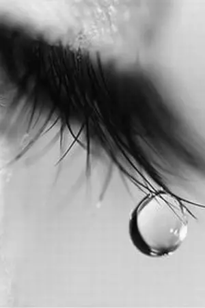 ปกนิยาย [Short Fic SJ] Tears