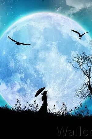 ปกนิยาย Age Hign...ตำนานเมือง'ต้องคำสาป'...