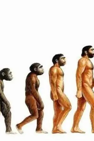 ปกนิยาย สำรวจโลกเก่า และร่องรอยวิวัฒนาการของมนุษย์