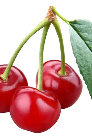 ปกนิยาย Tale of the god gate ลำนำรักทะเลสาปประตูสวรรค์