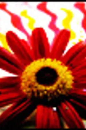 ปกนิยาย {SF SHINee} เสียงที่ไม่ได้ยิน {MinKey}