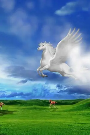 ปกนิยาย ฤๅฟ้ามิอาจกั้น