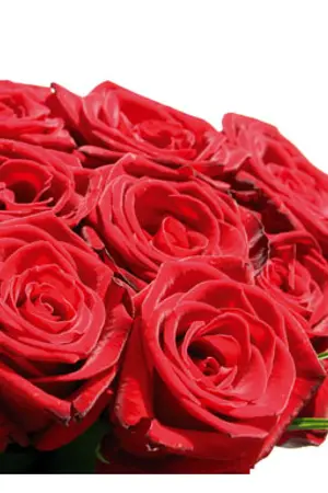 ปกนิยาย [SHINee - SF] Sweet flower [JongKey,,HoOn]