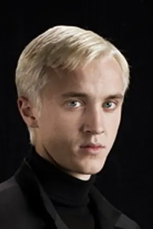 ปกนิยาย FIC แปล Harry  /  Hermione Malfoy