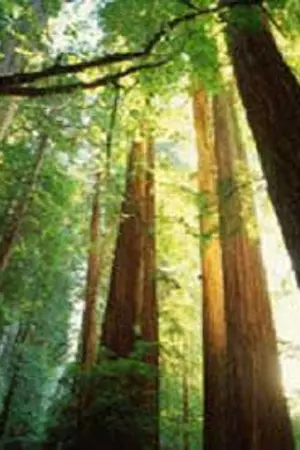 ปกนิยาย --- - -