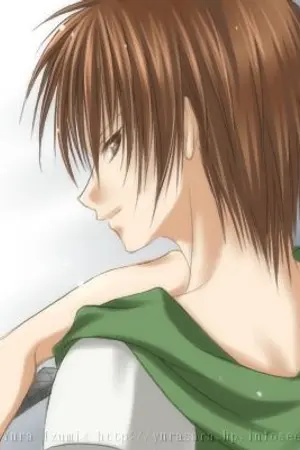 ปกนิยาย ตำนานสี่เผ่าพันธุ์ (ผลึกแห่งธาตุทั้งสี่)