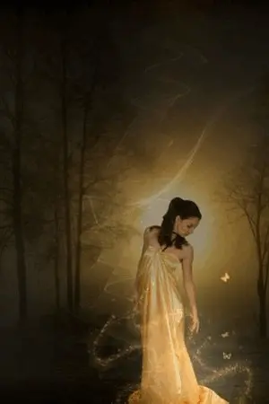 ปกนิยาย นฤมิตรจิตใฝ่หา(2)