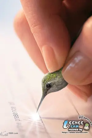 ปกนิยาย จดหมายจากฟากฟ้าถึงดวงดาว(12)(Whitepingeon)